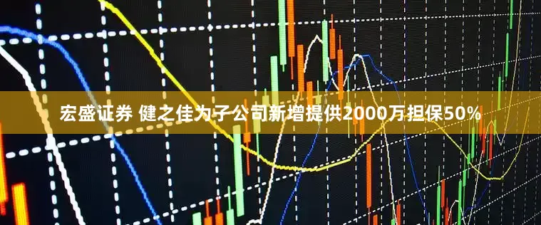 宏盛证券 健之佳为子公司新增提供2000万担保50%