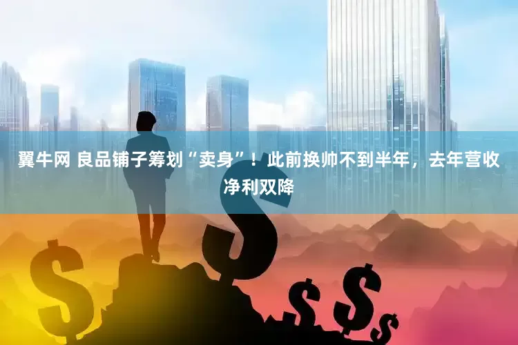 翼牛网 良品铺子筹划“卖身”！此前换帅不到半年，去年营收净利双降